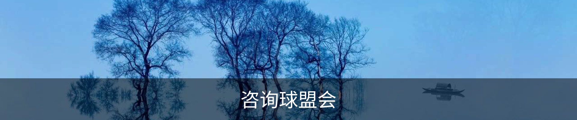 咨询球盟会